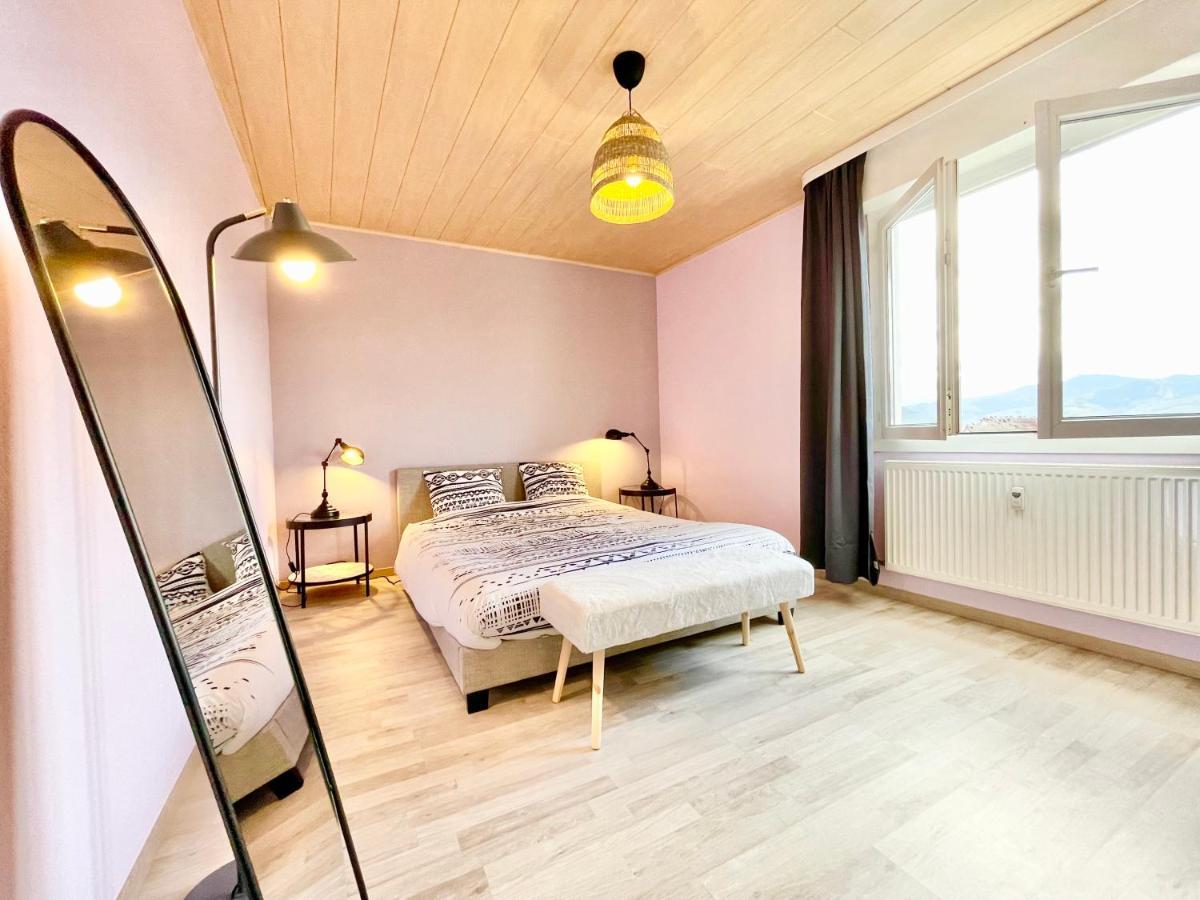 Colmar - La Cigogne - Balcon - Vue Degagee - Netflix - Wifi Fibre - Parking Gratuit - Quartier Populaire公寓 外观 照片